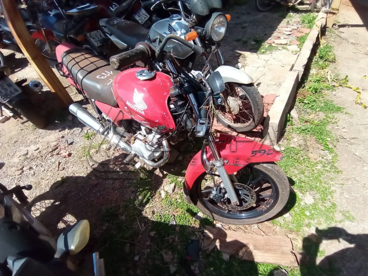 LOTE 0113