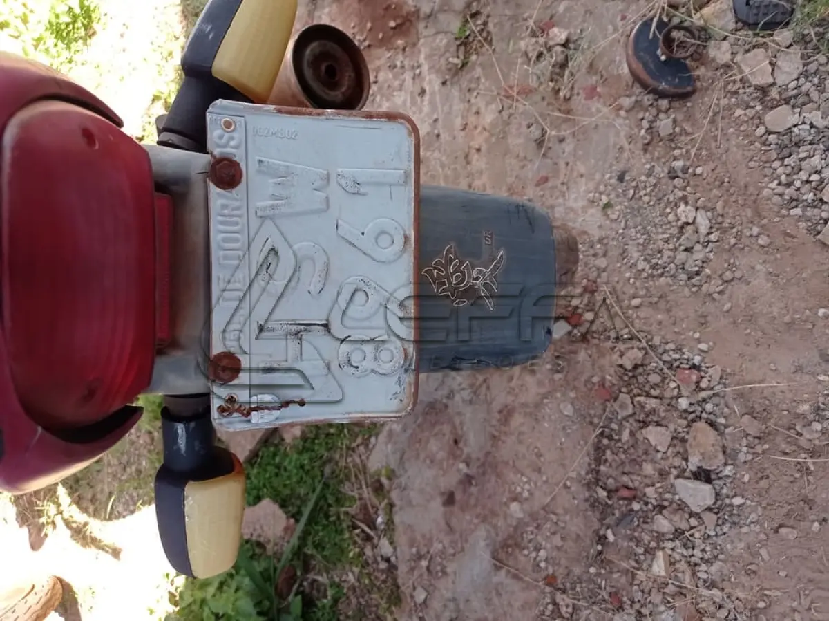 LOTE 0081