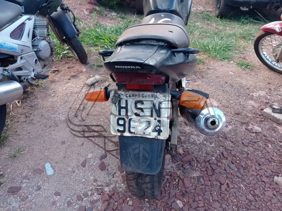 LOTE 0100