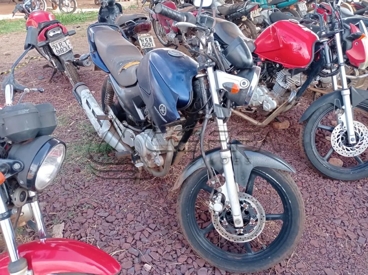 LOTE 0075