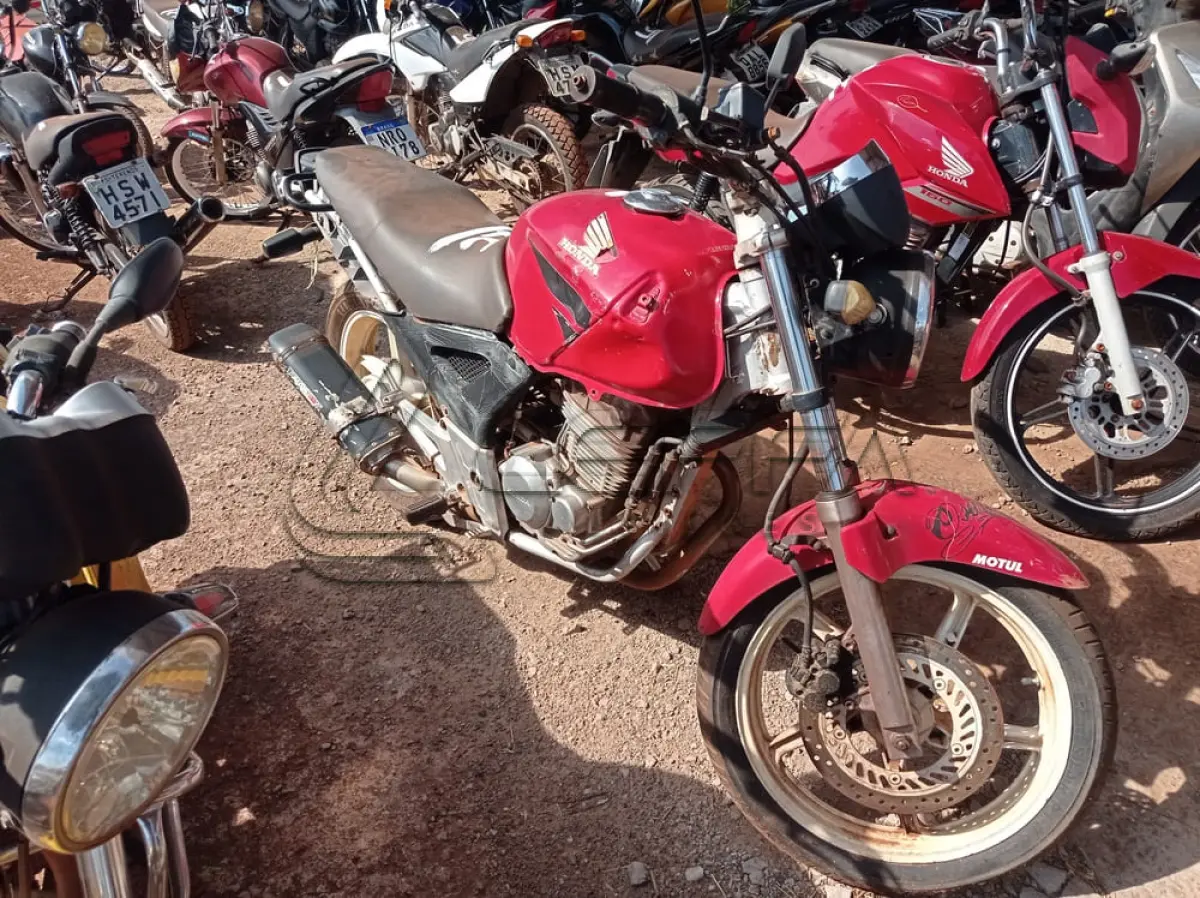 LOTE 0055