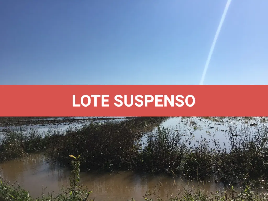 LOTE 003