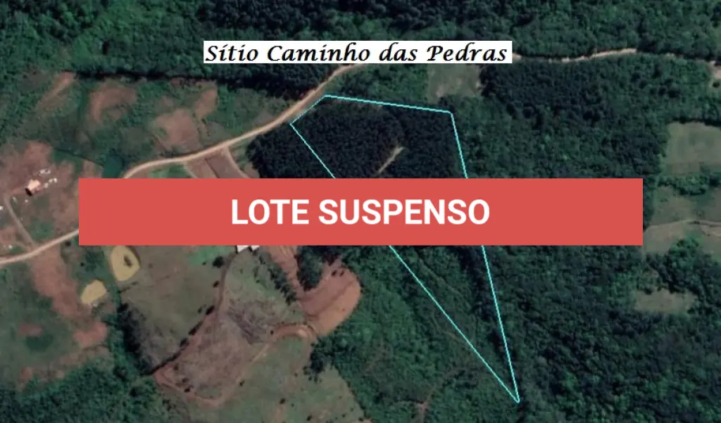 LOTE 001