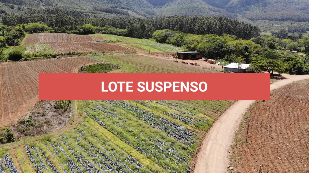 LOTE 001