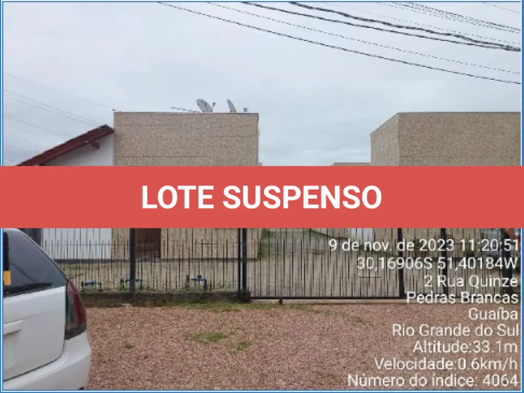 LOTE 229