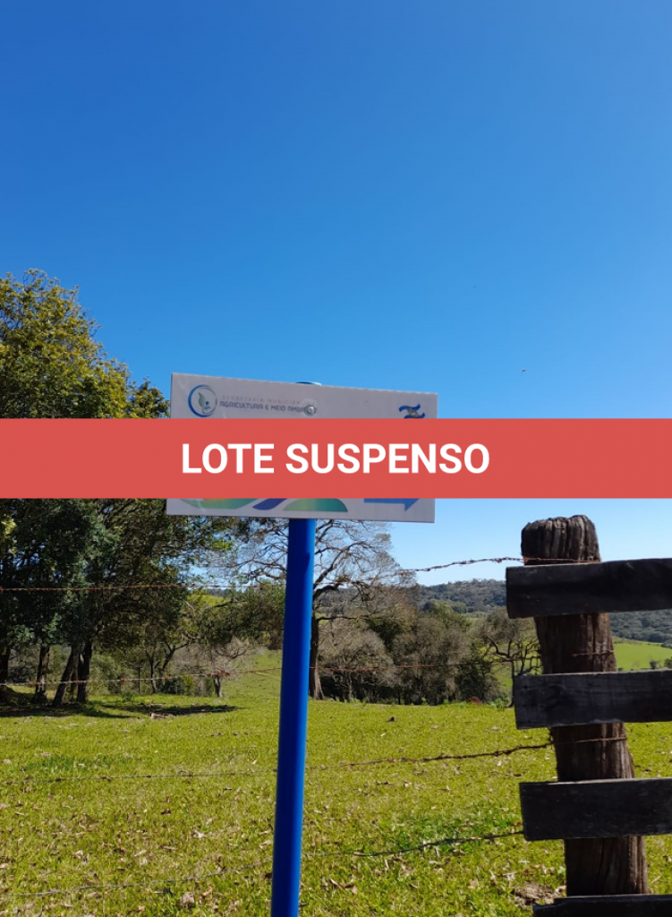 LOTE 003