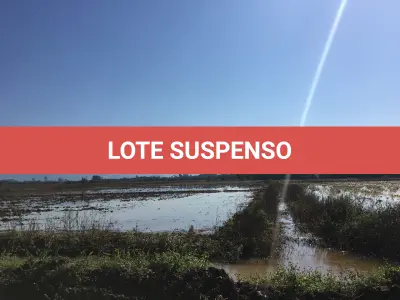 LOTE 003 - ÁREA RURAL SITUADO NA GLÓRIA, PIRATABA EM TORRES/RS