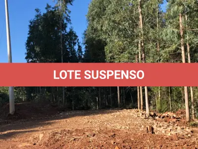 LOTE 001 - Área Rural, de 30.000,00 m², no lugar denominado Chapadão, em Canela/RS