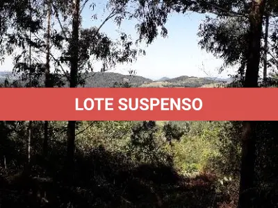 LOTE 001 - Área Rural, de 30.000,00 m², no lugar denominado Chapadão, em Canela/RS