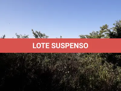 LOTE 001 - Área Rural, de 30.000,00 m², no lugar denominado Chapadão, em Canela/RS