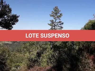 LOTE 001 - Área Rural, de 30.000,00 m², no lugar denominado Chapadão, em Canela/RS