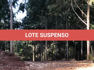LOTE 001 - Área Rural, de 30.000,00 m², no lugar denominado Chapadão, em Canela/RS