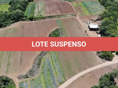 LOTE 001 - Terreno Rural, com área de 215,000 m² no Lugar denominado Chapéu, em Três Forquilhas/RS