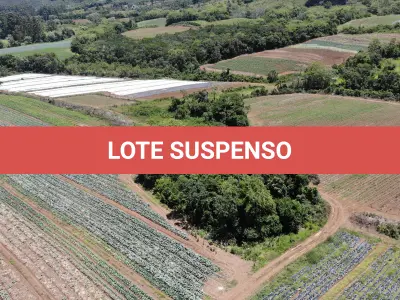 LOTE 001 - Terreno Rural, com área de 215,000 m² no Lugar denominado Chapéu, em Três Forquilhas/RS