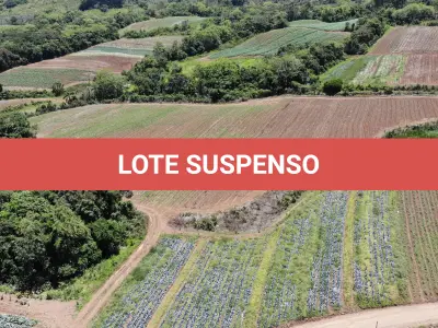 LOTE 001 - Terreno Rural, com área de 215,000 m² no Lugar denominado Chapéu, em Três Forquilhas/RS