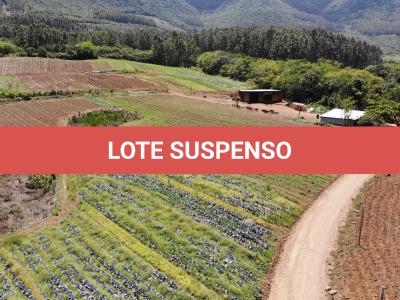 LOTE 001 - Terreno Rural, com área de 215,000 m² no Lugar denominado Chapéu, em Três Forquilhas/RS