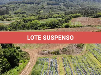LOTE 001 - Terreno Rural, com área de 215,000 m² no Lugar denominado Chapéu, em Três Forquilhas/RS