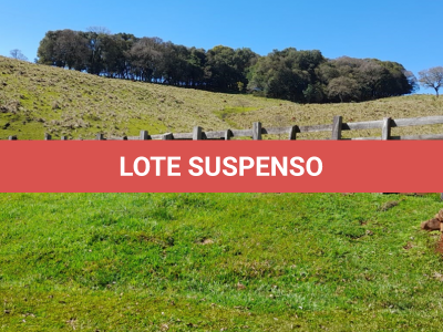 LOTE 003 - 02 Dois Terrenos Rurais, 1 (um) de 1.909.657,00 m² (190,96 hectares), 1 (um) de 544.500,00 m² (54,45 hectares), situado nos imóveis "Pocinhos", "Cerro Branco",  e "Leãozinho", na Fazenda São Pedro, no Distrito de Barra do Leão em Campos Novos SC