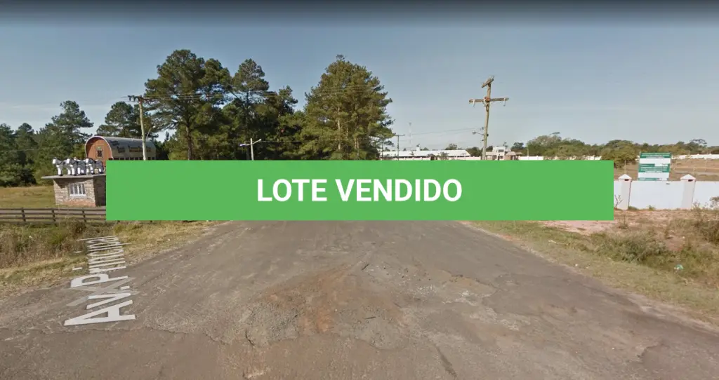 LOTE 008