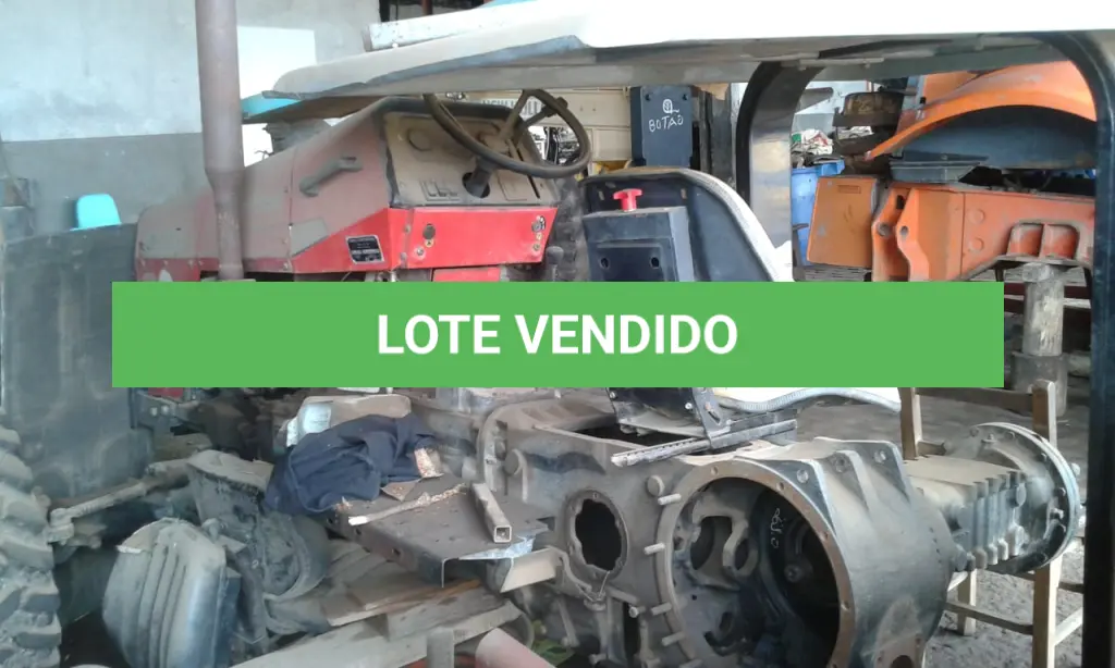 LOTE 011