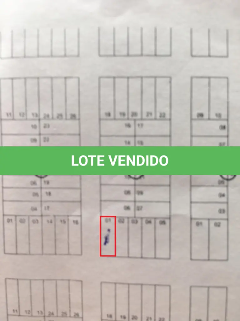 LOTE 006