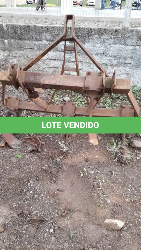 LOTE 011