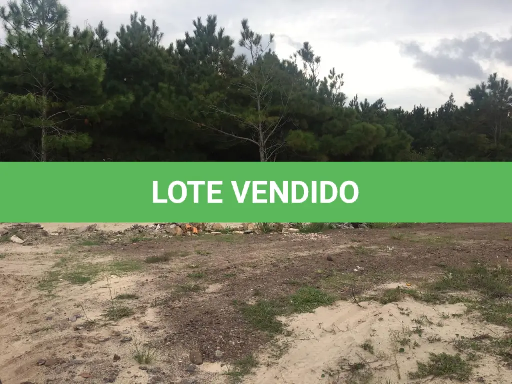LOTE 002