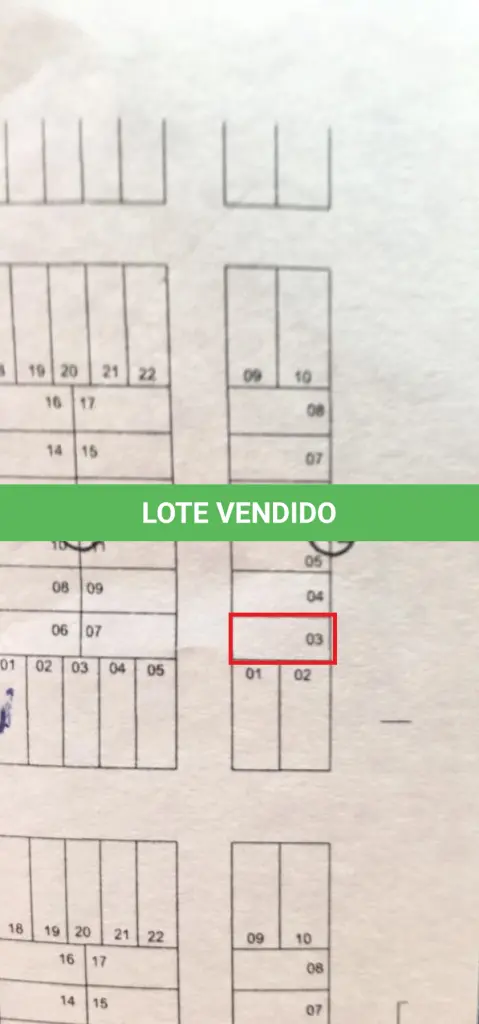 LOTE 007