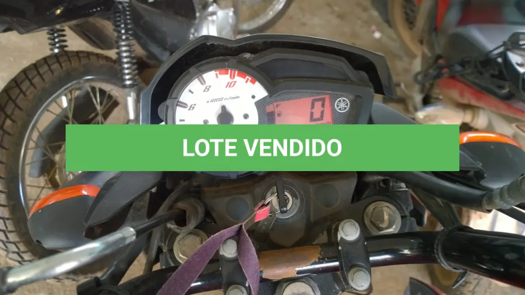 LOTE 008