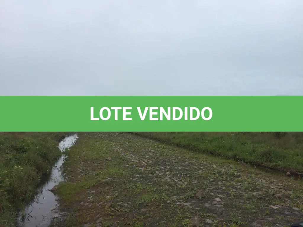 LOTE 016