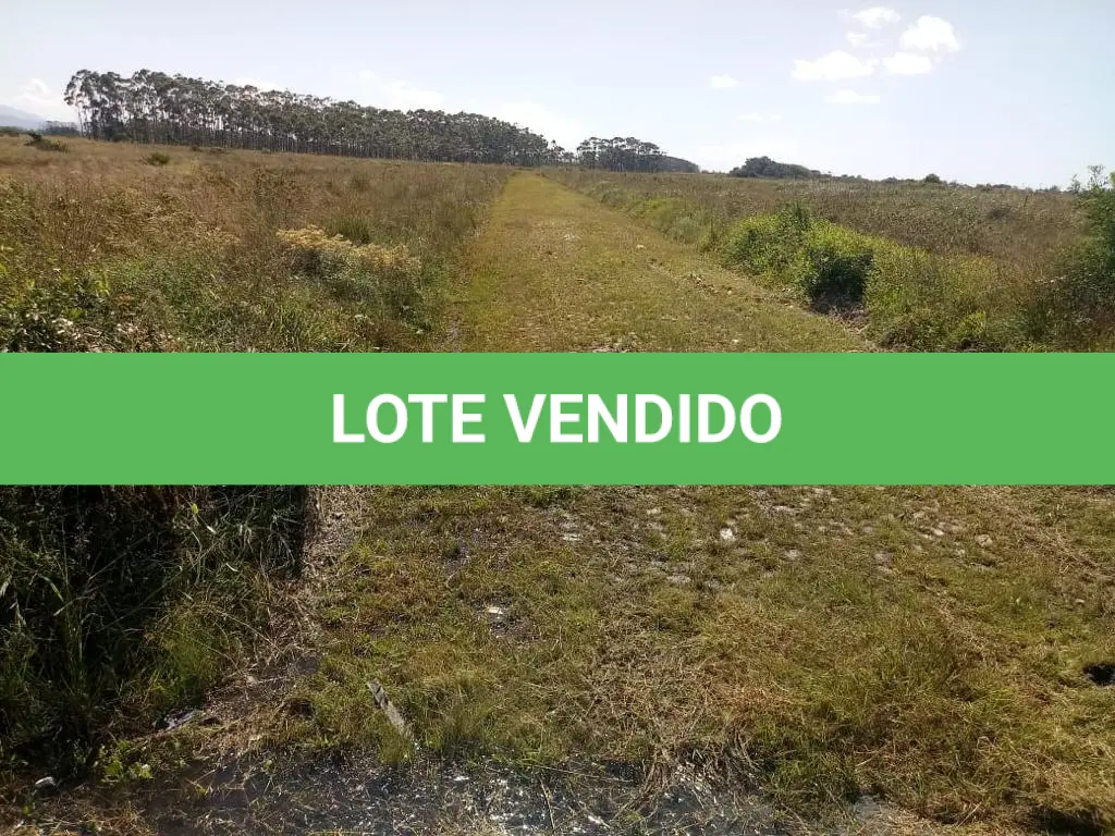 LOTE 015
