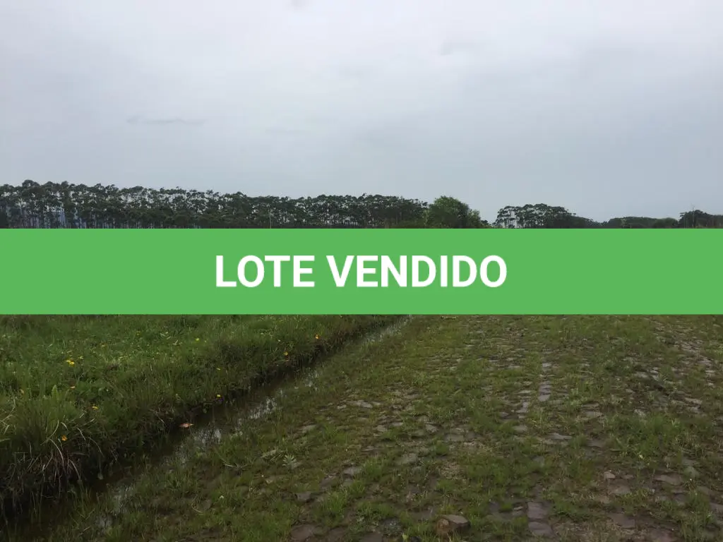 LOTE 014