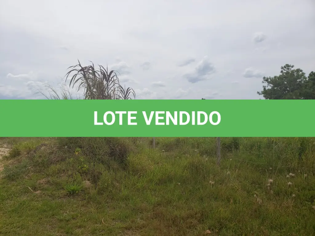 LOTE 001