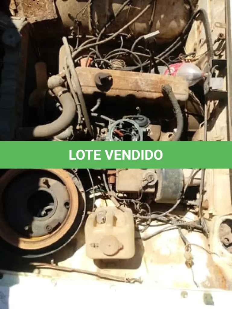LOTE 007