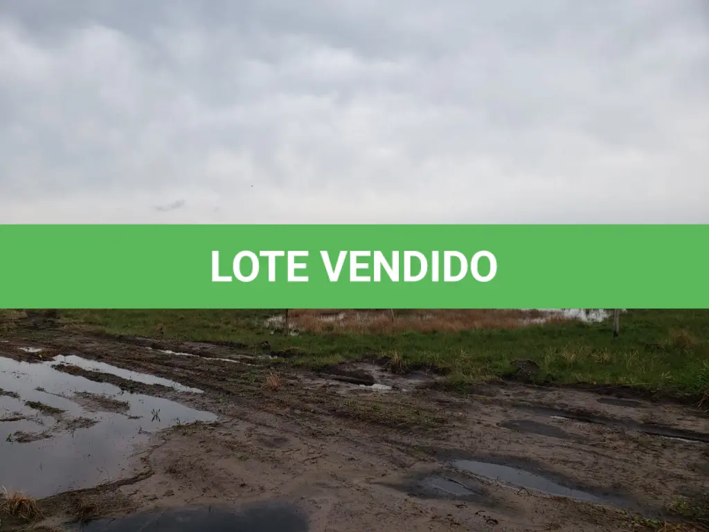 LOTE 004