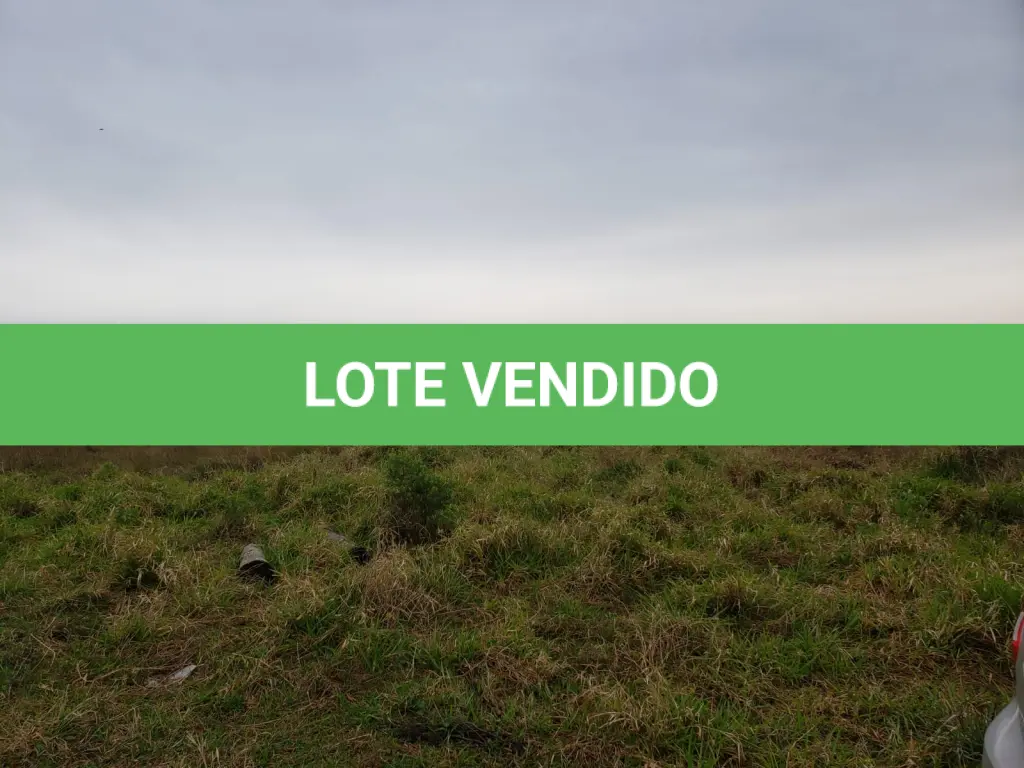 LOTE 003