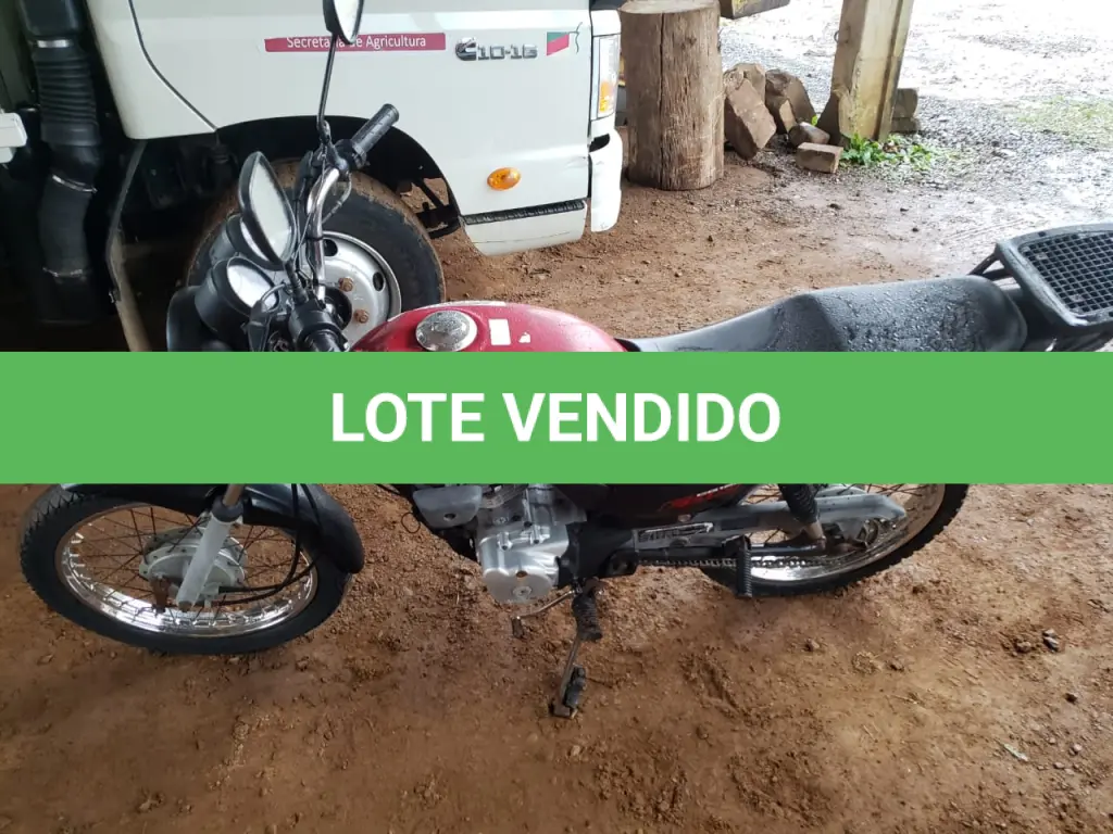 LOTE 007