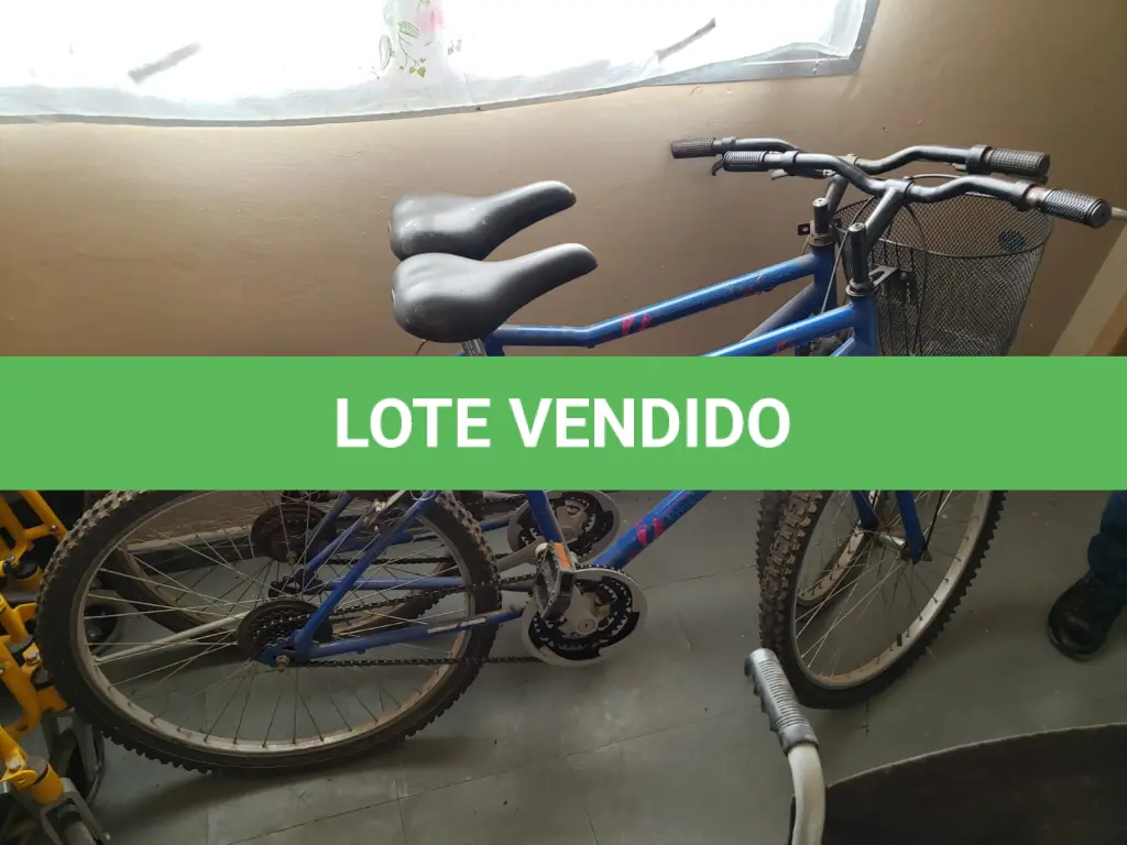 LOTE 006
