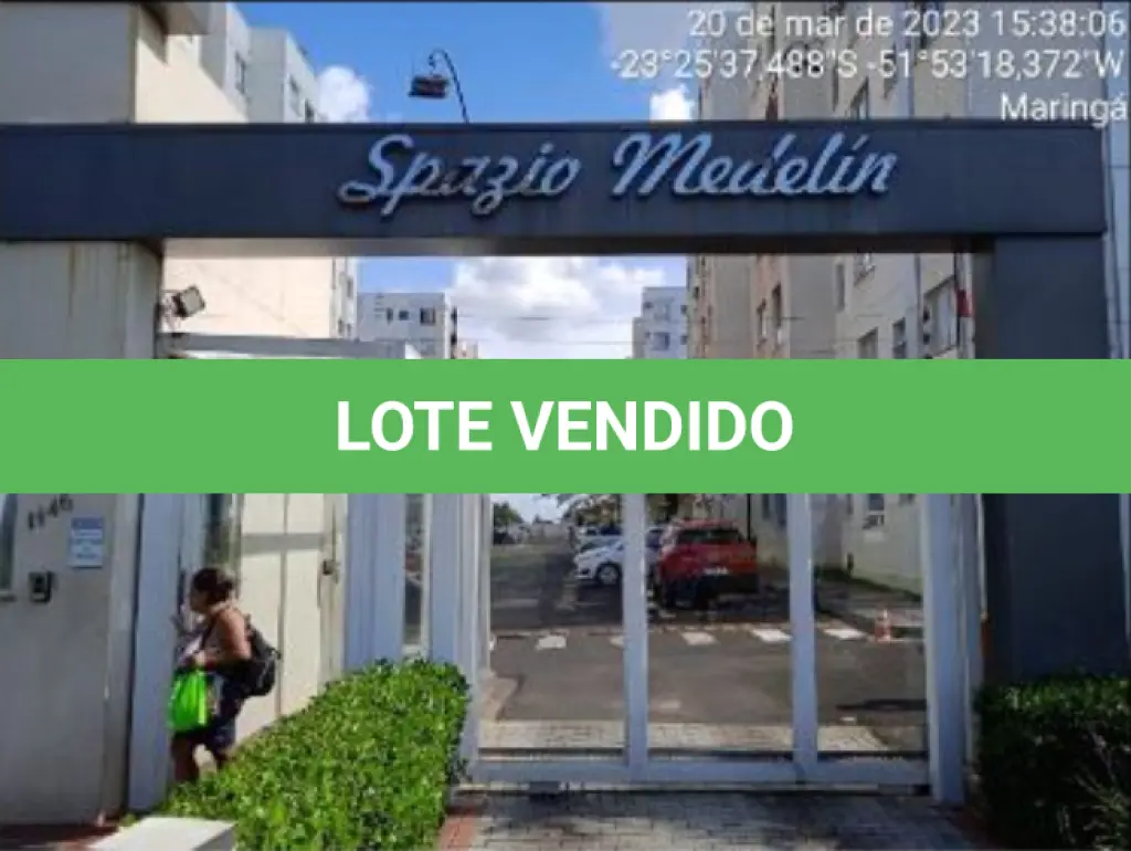 LOTE 113