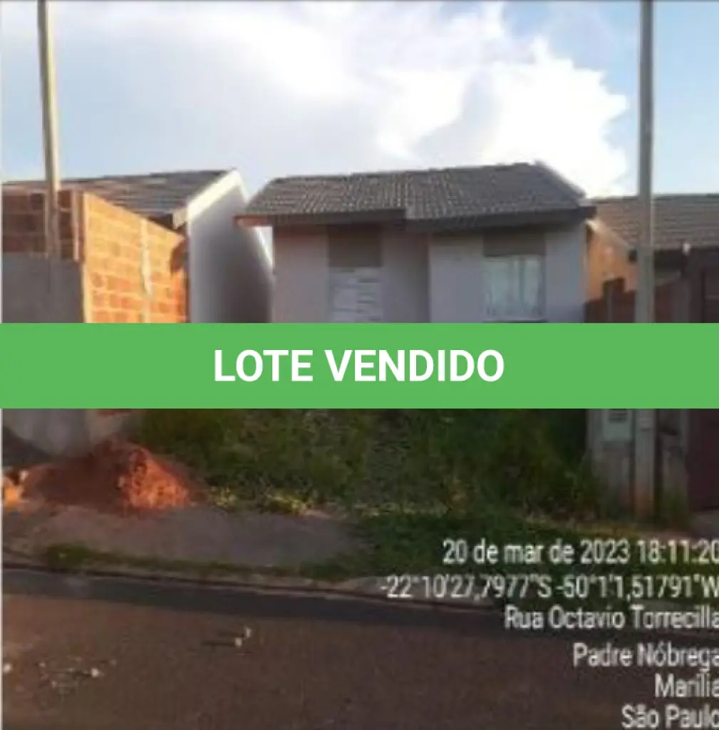 LOTE 232