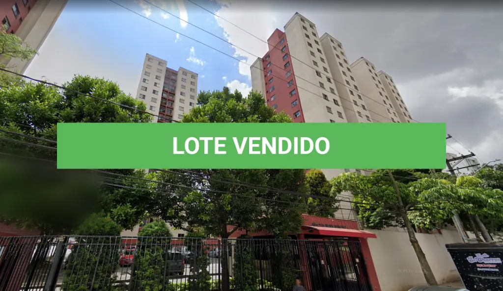LOTE 259