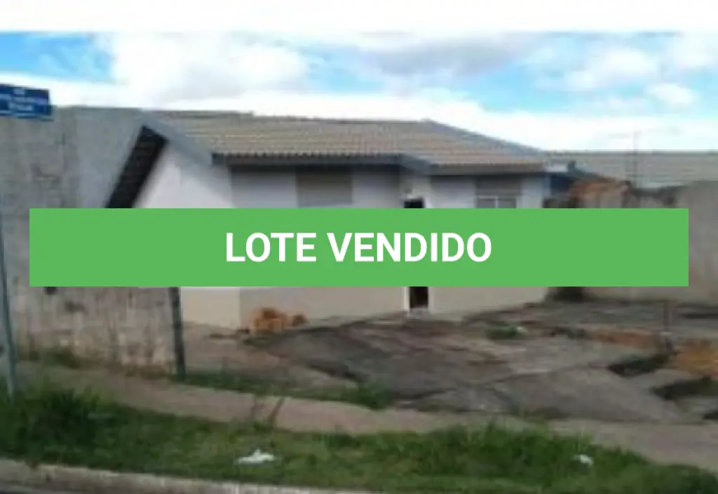 LOTE 233
