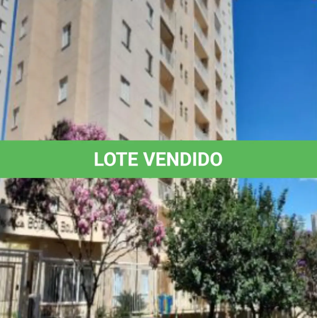 LOTE 239