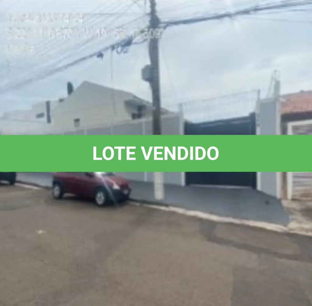 LOTE 231