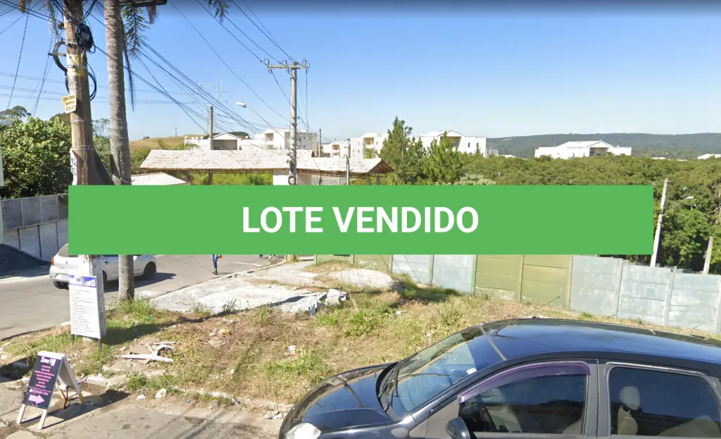LOTE 217
