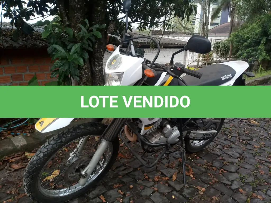 LOTE 097