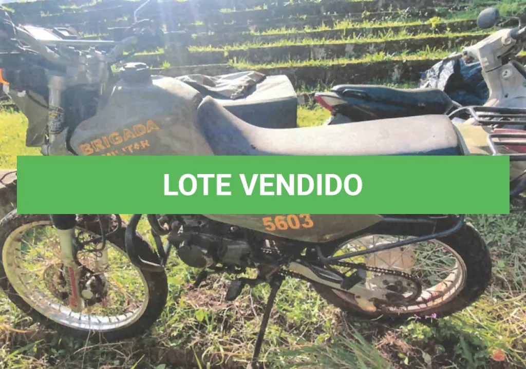 LOTE 043