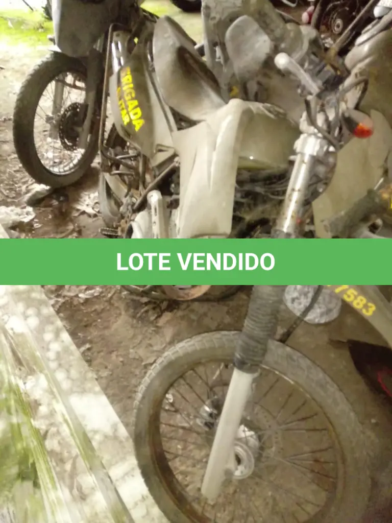 LOTE 061