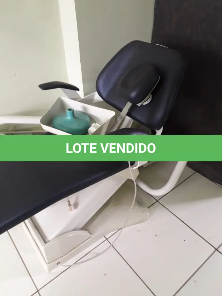 LOTE 019