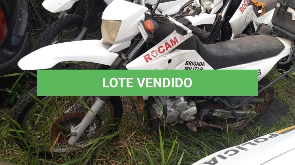 LOTE 081
